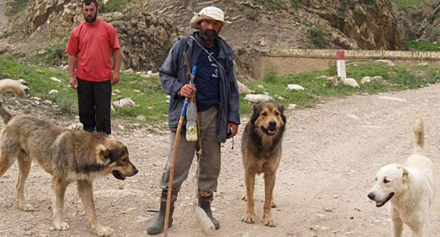 Дагестанские пастухи. Фото "Кавказского Узла"