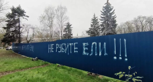 Вырубка в Ростове-на-Дону, фото: nemoskva.net Вырубка в Ростове-на-Дону, фото: nemoskva.net