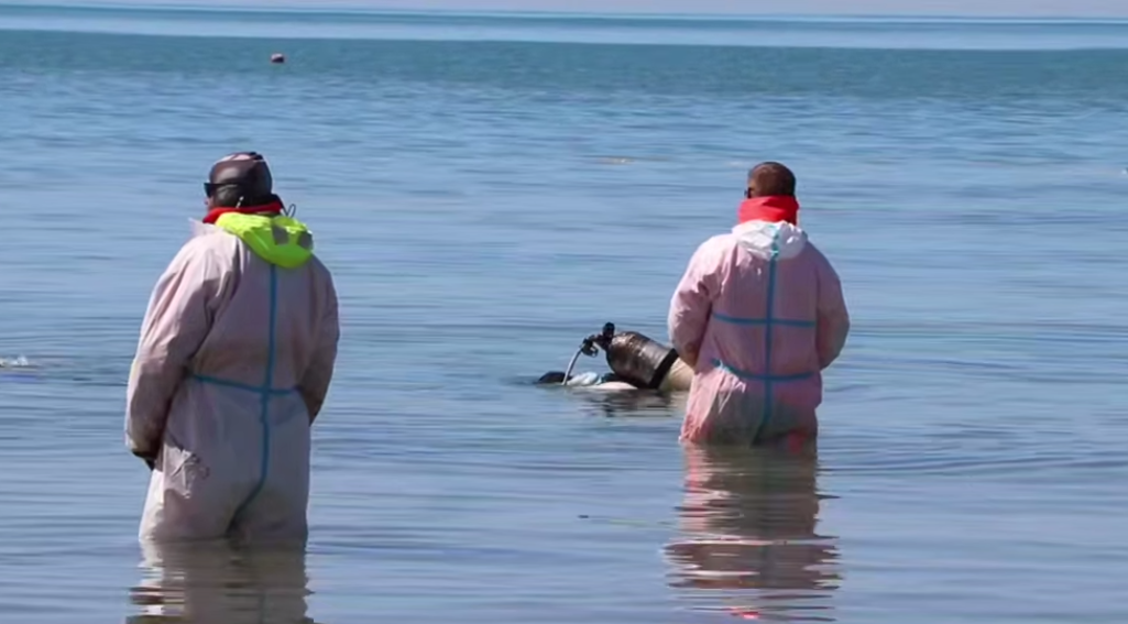 Водолаз погружается в воду. Стоп-кадр видео оперштаба Краснодарского края от 24.05.25, https://t.me/opershtab23/13521.